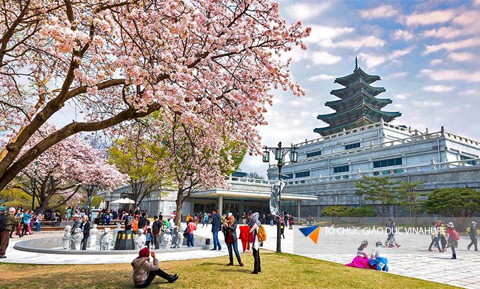 Du học Hàn Quốc trường Seoul Venture University